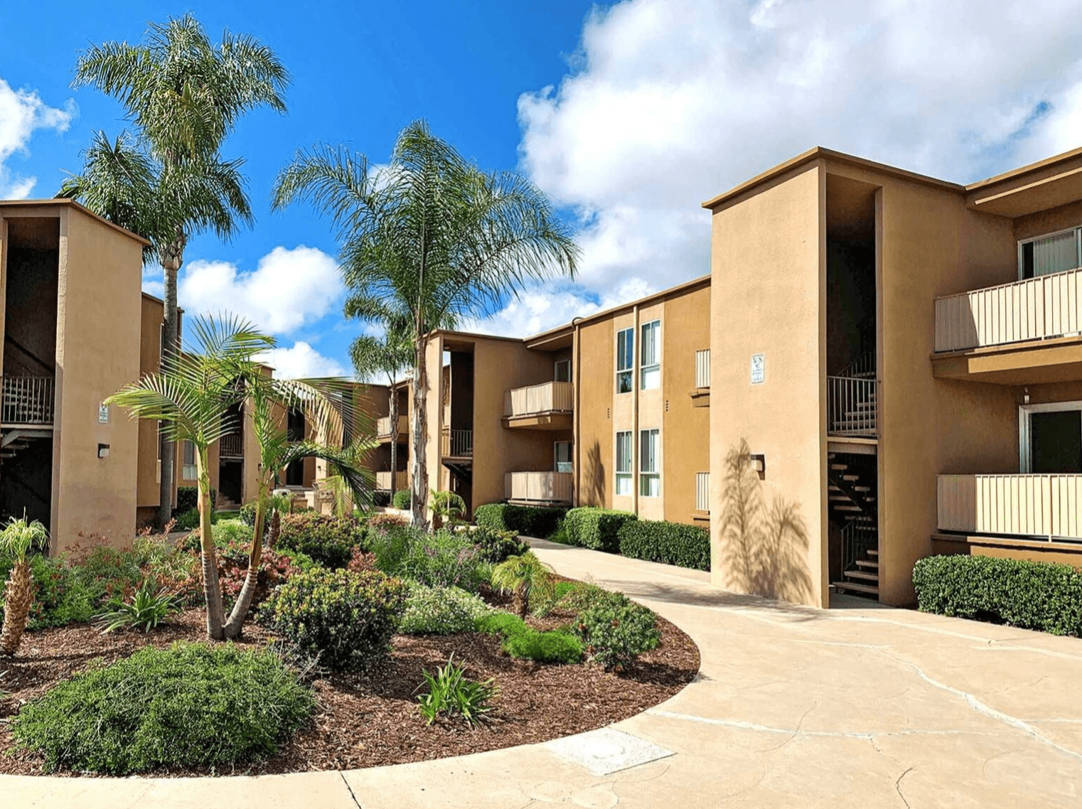Dorchester, sdsu, 6595 Montezuma Rd, San Diego, CA 92115