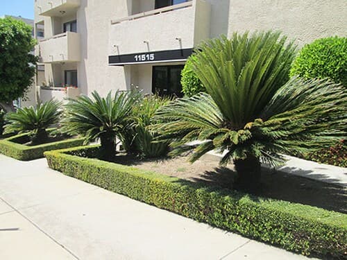 11515 Rochester Ave, ucla, 11515 Rochester Ave, Los Angeles, CA 90025